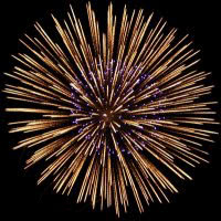 Feuerwerk wie ein lila Seeigel